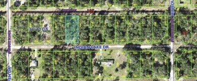 Lake Weohyakapka Lot For Sale in Indian Lake Estates Florida