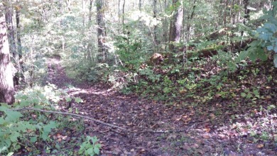 Affordable lot in a quiet cove!! SOLD - Lake Acreage SOLD! in Jacksboro, Tennessee
