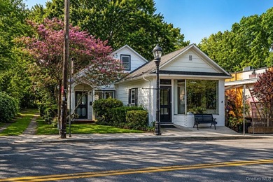 Fully renovated and beautifully designed mixed-use property - photo 1
