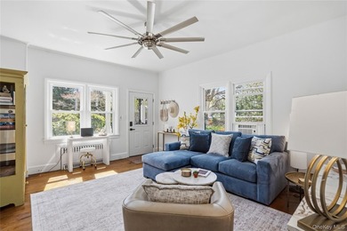 Fully renovated and beautifully designed mixed-use property - photo 3