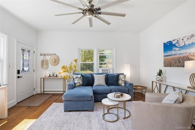 Fully renovated and beautifully designed mixed-use property - photo 4