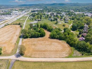 UNRESTRICTED 4.98 acres near the entrance of the new Horse - photo 11