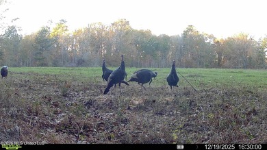 Just outside of Flora, this remarkable 560+/- acre tract offers - photo 11