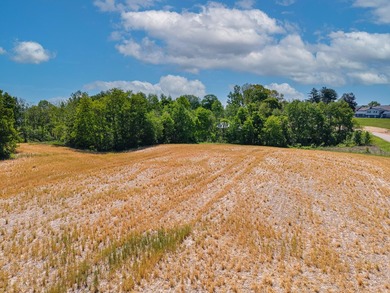 UNRESTRICTED 4.98 acres near the entrance of the new Horse - photo 12