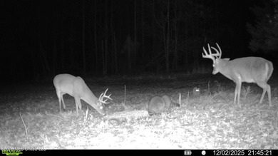 Just outside of Flora, this remarkable 560+/- acre tract offers - photo 12