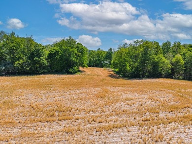 UNRESTRICTED 4.98 acres near the entrance of the new Horse - photo 13