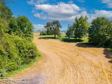 UNRESTRICTED 4.98 acres near the entrance of the new Horse - photo 14