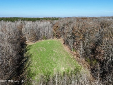 Just outside of Flora, this remarkable 560+/- acre tract offers - photo 14