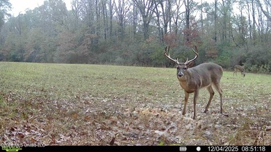 Just outside of Flora, this remarkable 560+/- acre tract offers - photo 15