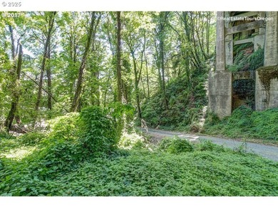 Discover a rare opportunity to own a unique piece of land on NW - photo 5