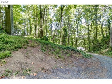 Discover a rare opportunity to own a unique piece of land on NW - photo 7