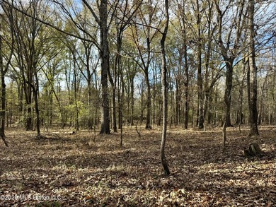 Just outside of Flora, this remarkable 560+/- acre tract offers - photo 18