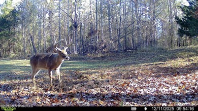 Just outside of Flora, this remarkable 560+/- acre tract offers - photo 19