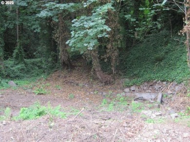 Discover a rare opportunity to own a unique piece of land on NW - photo 9