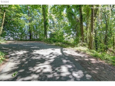 Discover a rare opportunity to own a unique piece of land on NW - photo 10