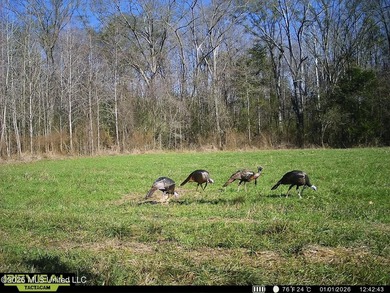 Just outside of Flora, this remarkable 560+/- acre tract offers - photo 21