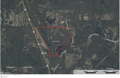 Just outside of Flora, this remarkable 560+/- acre tract offers - photo 23
