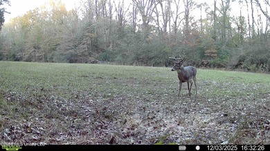 Just outside of Flora, this remarkable 560+/- acre tract offers - photo 24