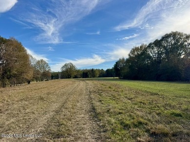Just outside of Flora, this remarkable 560+/- acre tract offers - photo 26