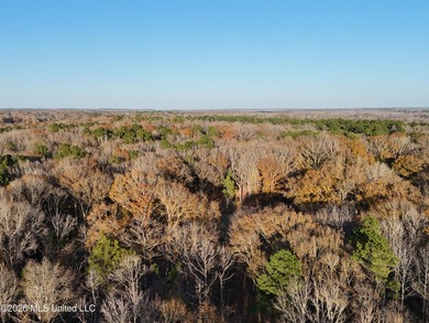 Just outside of Flora, this remarkable 560+/- acre tract offers - photo 28