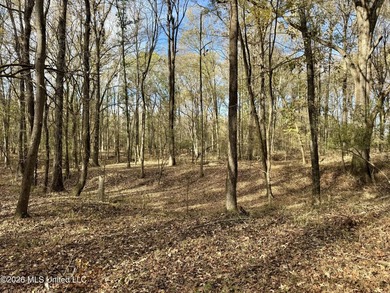 Just outside of Flora, this remarkable 560+/- acre tract offers - photo 30