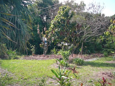 BEAUTIFUL 2/2 WITH CARPORT, CONCRETE BLOCK, NEW METAL ROOF AND - photo 10