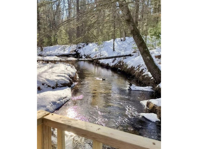 (private lake, pond, creek) Home For Sale in Chase Michigan