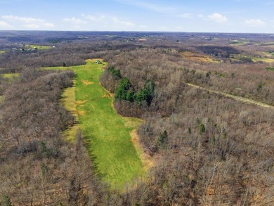 Prime Development Opportunity: 107+ Acre Private Airpark & - photo 4