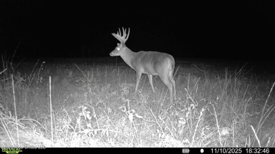 Just outside of Flora, this remarkable 560+/- acre tract offers - photo 35