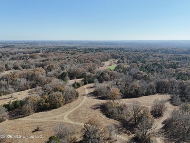 Just outside of Flora, this remarkable 560+/- acre tract offers - photo 36