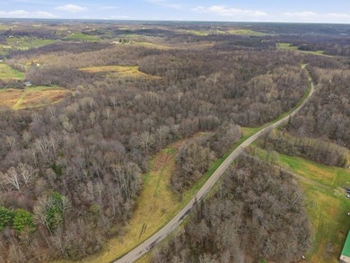 Prime Development Opportunity: 107+ Acre Private Airpark & - photo 9