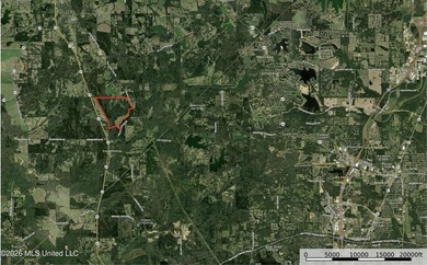Just outside of Flora, this remarkable 560+/- acre tract offers - photo 39
