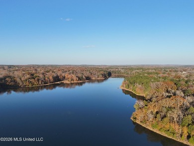 Just outside of Flora, this remarkable 560+/- acre tract offers - photo 40
