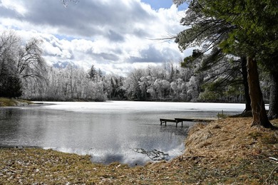Little Lake Miramichi Lot For Sale in Evart Michigan
