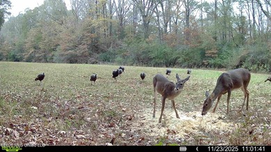 Just outside of Flora, this remarkable 560+/- acre tract offers - photo 42