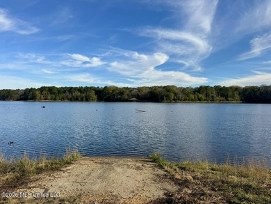 Just outside of Flora, this remarkable 560+/- acre tract offers - photo 43
