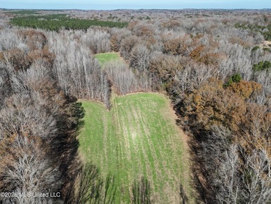 Just outside of Flora, this remarkable 560+/- acre tract offers - photo 44