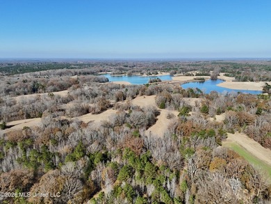 Just outside of Flora, this remarkable 560+/- acre tract offers - photo 45