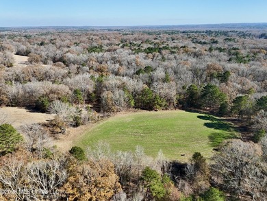 Just outside of Flora, this remarkable 560+/- acre tract offers - photo 46