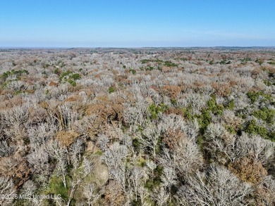 Just outside of Flora, this remarkable 560+/- acre tract offers - photo 49