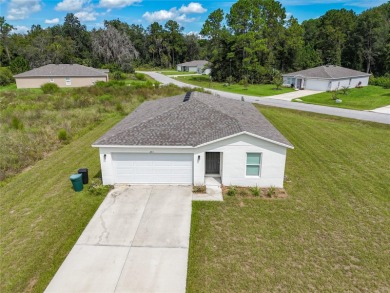 Lake George Home For Sale in Crescent City Florida