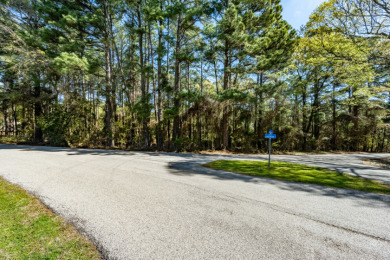 Wooded Lots in Lake Palestine Community - photo 13