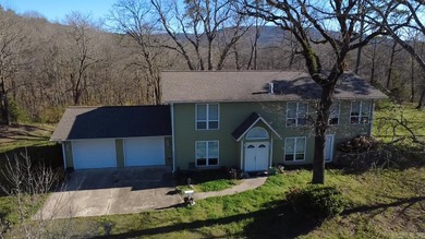 Lake Home For Sale in Mena, Arkansas