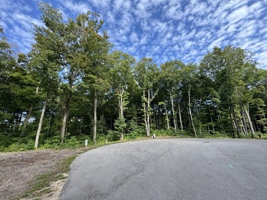Lake Michigan - Van Buren County Lot For Sale in South Haven Michigan