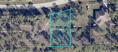 Lehigh Acres Area Lot For Sale in Lehigh Acres Florida