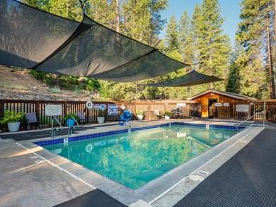 One of the Sierra Valley's best-kept secrets - a rare hot - photo 13