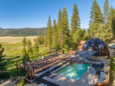 One of the Sierra Valley's best-kept secrets - a rare hot - photo 14