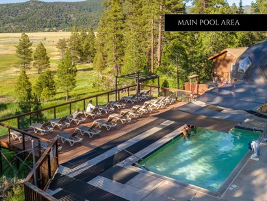 One of the Sierra Valley's best-kept secrets - a rare hot - photo 25