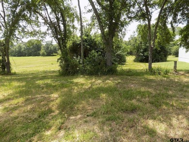 2 lots in Holiday Villages of Fork. Each lot approx 40X123 - Lake Lot For Sale in Quitman, Texas