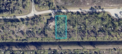 Lehigh Acres Area Lot For Sale in Lehigh Acres Florida